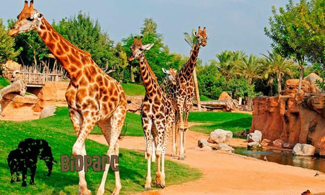 דירות Bioparc Metro ולנסיה מראה חיצוני תמונה
